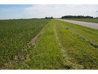 Property photo 21 - 233 +/- Acres Offered in 3 Tracts, Ohio Land Auction
